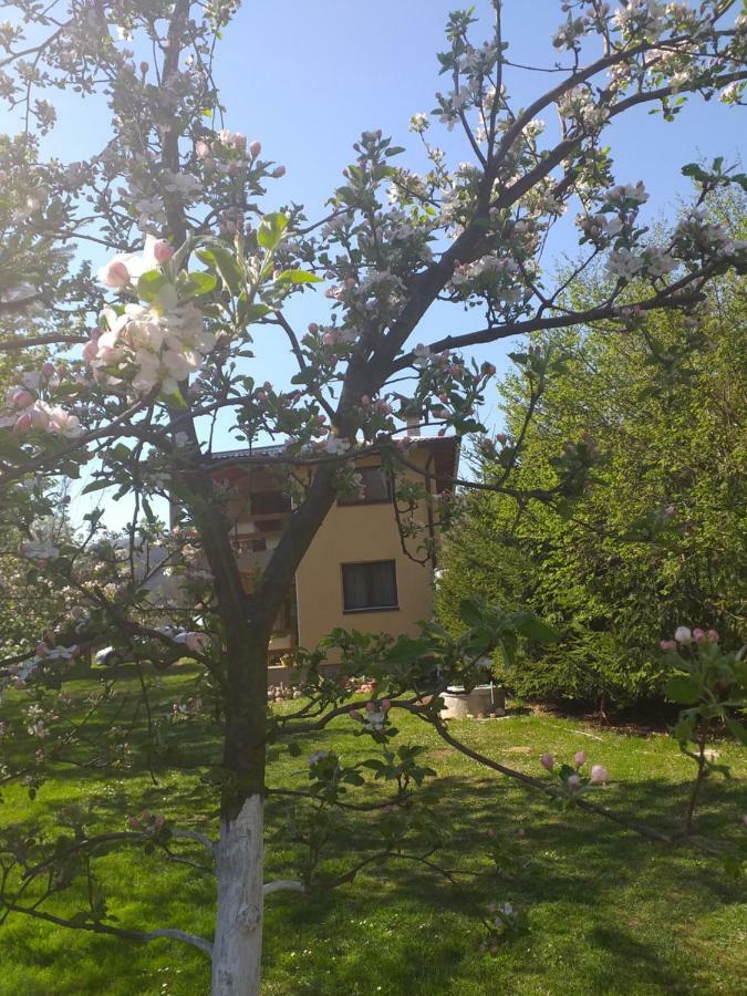 Eden Visoko Daire Dış mekan fotoğraf